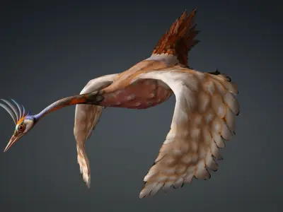 Crane Bird-B2 3D model
