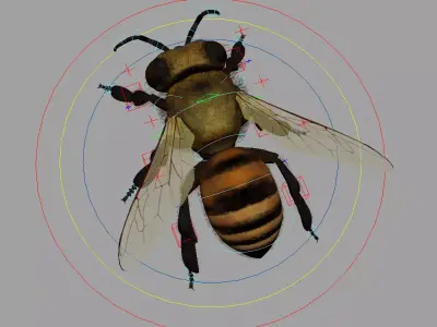 Bee Rig 3D model