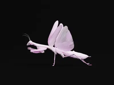 Pink Orchid Mantis Insect Low-poly 3D model