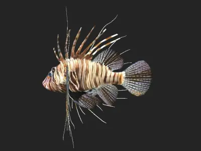 Lionfish Realistic Animated Low-poly 3D model