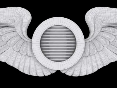 USAAF  Aircraft Observer Wings Badge 3D model