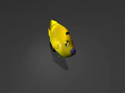 Three-spot Angelfish Low-poly 3D model