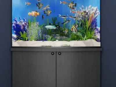 Corner aquarium 3D model