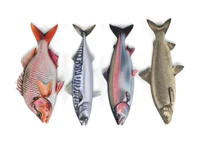 Fish set Low-poly 3D model