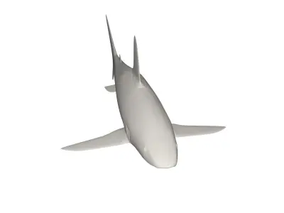 Shark wild animals 3D model