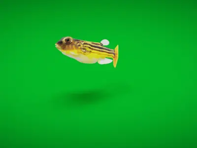 Fahaka Nile Pufferfish Low-poly 3D model