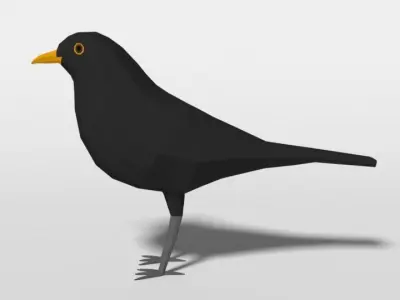 Low Poly Cartoon Blackbird Low-poly 3D model