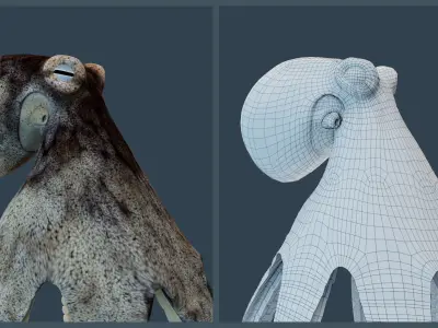 Animated Caribbean Reef Octopus Low-poly 3D model