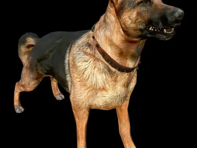 Dog K-9 - PBR - Textured Low-poly 3D model