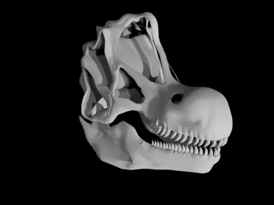 Brachiosaurus skull Low-poly 3D model