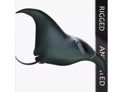 Manta Birostris Low-poly 3D model