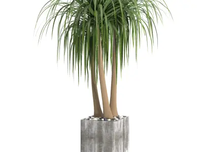 Indoor Plants in Ferm Living Bau Pot Large - Set039 3D model