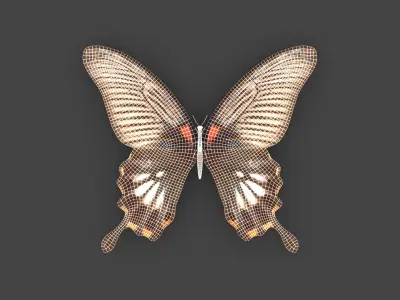 BFLY-005 Butterfly 3D model