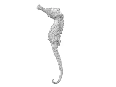 hippocampus japonicus Low-poly 3D model