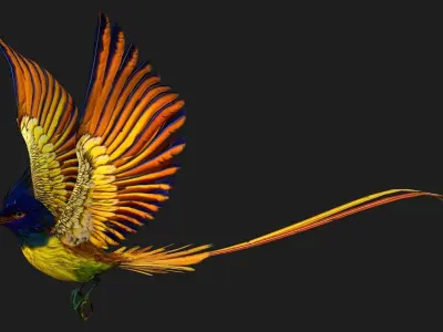PheasantBird A1 3D model