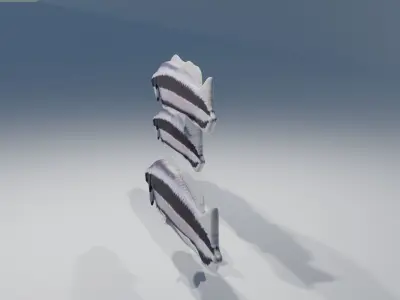 Striped Dottyback Fish Free 3D model