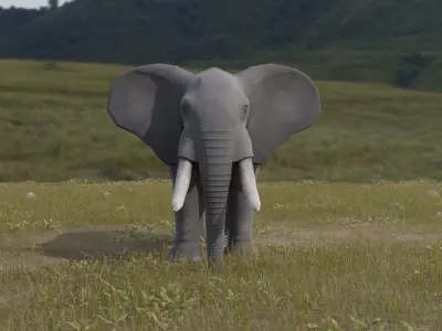 Elephant Low-poly 3D model