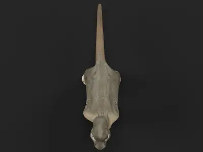 Brachiosaurus Baby Dinosaur Low-poly 3D model