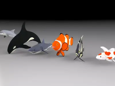Fish shark koi carp dolphin killer whale clown fish and angel  3D model