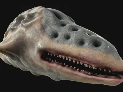Sea monster 3D model