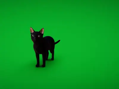 Bombay Cat Free 3D model