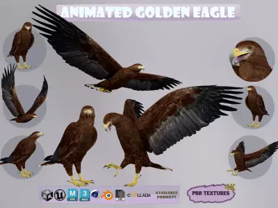 Realistic Animated Golden Eagle Low-poly 3D model