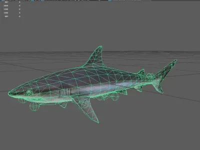 Blacknoseshark Low-poly 3D model