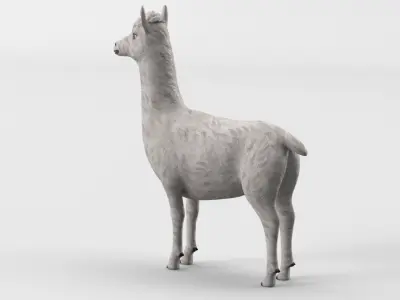 Low Poly Animal Cartoon Lama - Alpaca -  llama - Unwapped 4K Low-poly 3D model