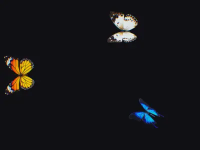 Butterfly Insect Flock Animated Fly Animal Wing Butterflies Low-poly 3D model