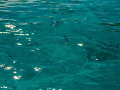 Headquarters island with grass and bird Free 3D model