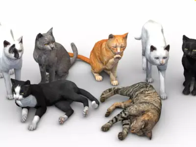 Realistic animals and poultry 3D model