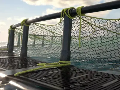 Fish Farm Net Ocean Sustainable Octane 3D model
