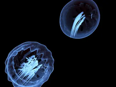 Jellyfish two 3D model
