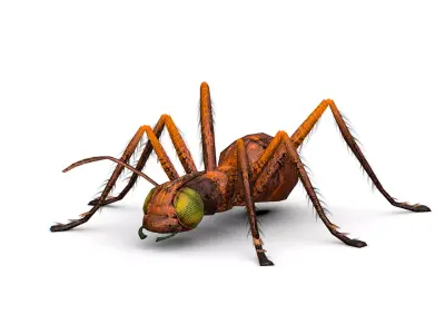 LowPoly Giant Crimson Ant Low-poly 3D model