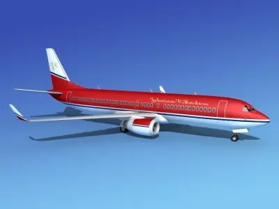 Boeing 737-800 Johnson Charter 3D model