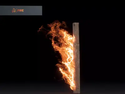 3D Fence Post Fire 3D model