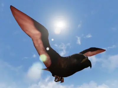 Folcan - Bird Low-poly 3D model