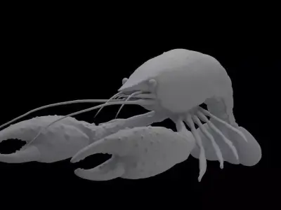 High polygon Crayfish Model Free 3D model