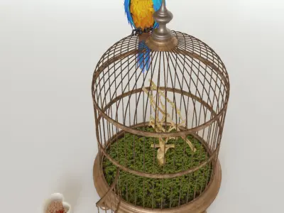 Parrot Ara 3D model