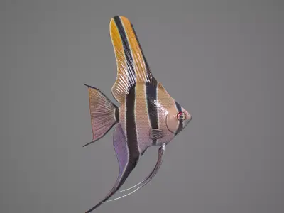 Scalar fish Low-poly 3D model