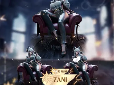 Zani from Wuthering Waves Commercial Package 3D print model