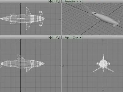 Shark - Hammerhead 3D model