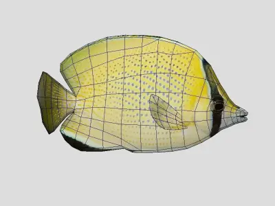 Speckled Butterflyfish Low-poly 3D model