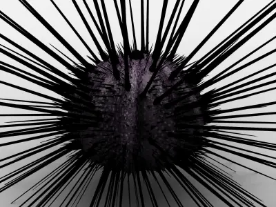 Sea urchin Low-poly 3D model