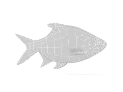 Tinfoil Barb Fish 3D model