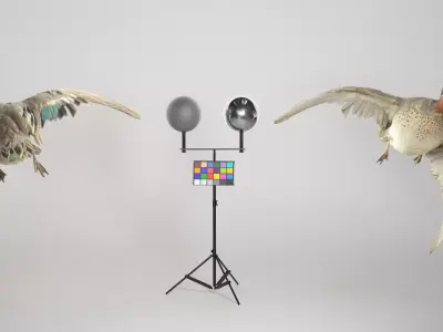 Flying duck 13 Low-poly 3D model