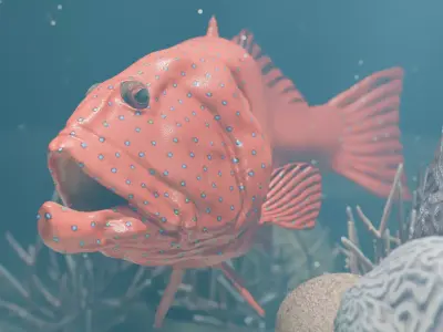 Realistic Coral Trout 3D Model Low-poly 3D model