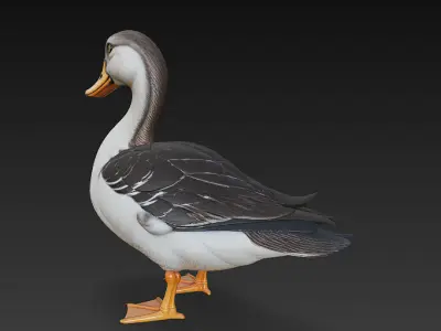 Duck Realistic 3D Model Basic - Low Poly Realistic Low-poly 3D model