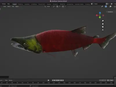 Sockeye Salmon Low-poly 3D model