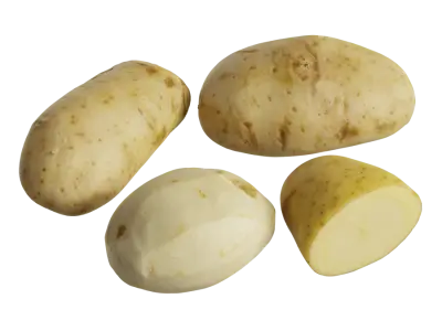  Potato Models 